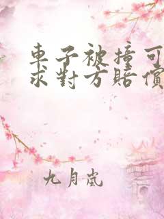 车子被撞可以要求对方赔偿折旧费吗