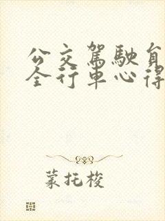 公交驾驶员的安全行车心得体会