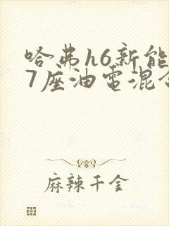 哈弗h6新能源7座油电混合商务车大全