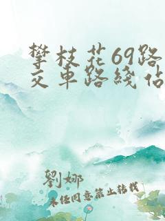 攀枝花69路公交车路线站点明细