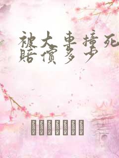 被大车撞死了能赔偿多少