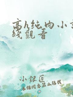 高h纯肉小说在线观看