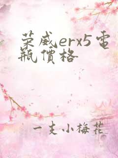 荣威erx5电瓶价格 荣威erx5电瓶价格