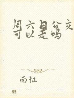 周六日公交车道可以走吗