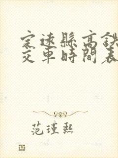 定远县高铁站公交车时间表