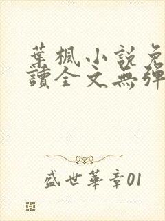 叶枫小说免费阅读全文无弹窗最新