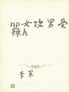 np女攻男受高辣h np女攻男受高辣h