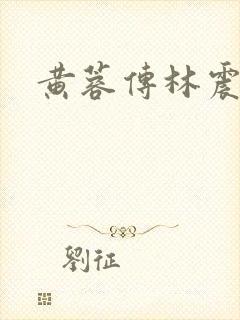 黄蓉传林震小说