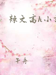 辣文高h小说