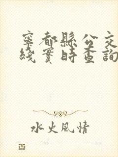 宁都县公交车路线实时查询