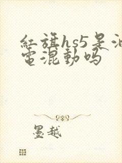 红旗hs5是油电混动吗