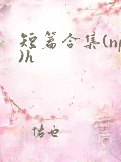 短篇合集(np)h