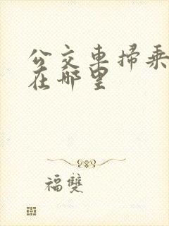公交车扫乘车码在哪里