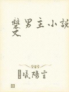 双男主小说调教文
