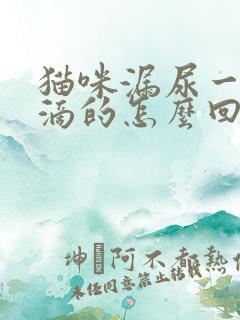 猫咪漏尿一滴一滴的怎么回事