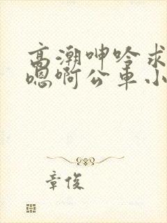 高潮呻吟求饶h嗯啊公车小说为