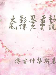 火影忍者动漫疾风传免费观看