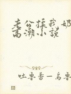 老公揉我奶啊嗯高潮小说