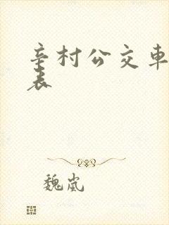 辛村公交车时间表
