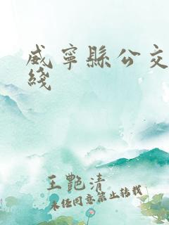 威宁县公交车路线