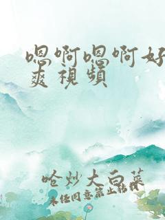 嗯啊嗯啊好大好爽视频