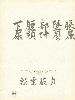 下腹部坠胀伴有尿频什么原因