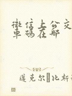 微信上公交车乘车码在哪