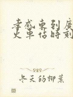 孝感东到广州的火车站时刻表 孝感东到广州的火车站时刻表