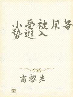 小受被用各种姿势进入