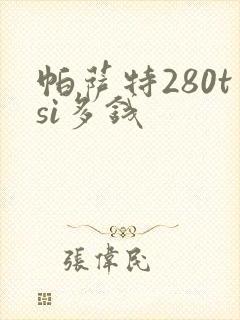 帕萨特280tsi多钱