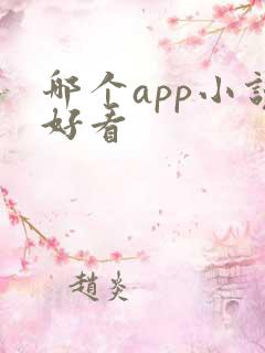 哪个app小说好看