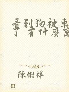 看到狗被车撞死了 有什么寓意吗