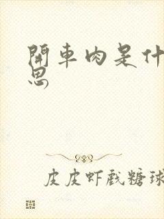 开车肉是什么意思