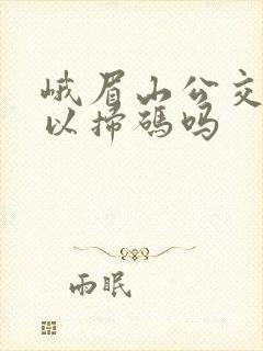 峨眉山公交车可以扫码吗