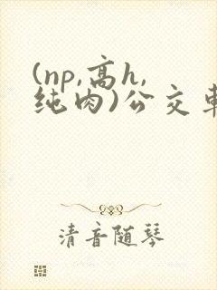 (np,高h,纯肉)公交车
