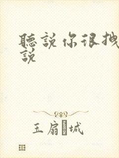 听说你很拽啊小说