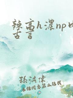 辣高h浓np肉古言