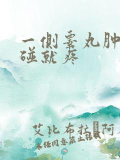 一侧睾丸肿大一碰就疼