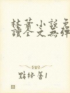 林萧小说免费阅读全文无弹窗