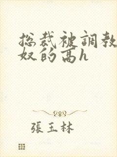 总裁被调教成贱奴的高h