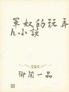 军奴的玩弄调教h小说 军奴的玩弄调教h小说