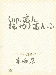(np,高h,纯肉)高h小说
