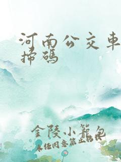 河南公交车乘车扫码