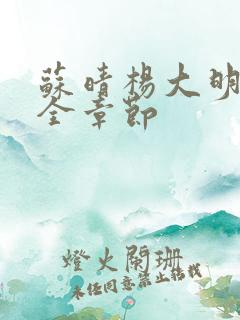 苏晴杨大明小说全章节