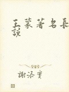 王蒙著名长篇小说