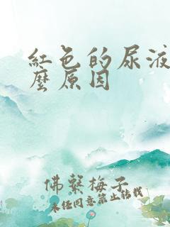 红色的尿液是什么原因