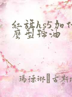 红旗hs5加什么型号油