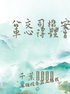 公交司机安全行车心得体会