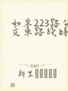 如皋223路公交车路线时间表