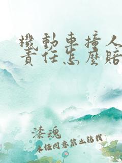 机动车撞人同等责任怎么赔偿